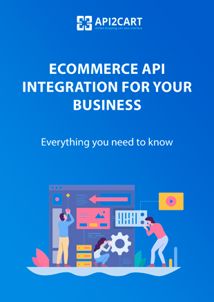 eCommerce API Integration for Your Business