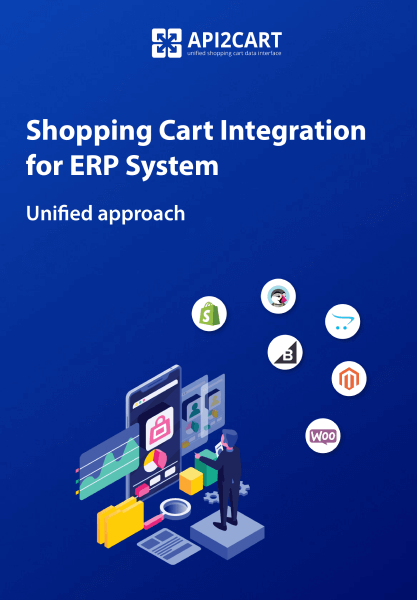 ERP API Integration