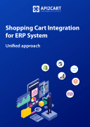 ERP API Integration