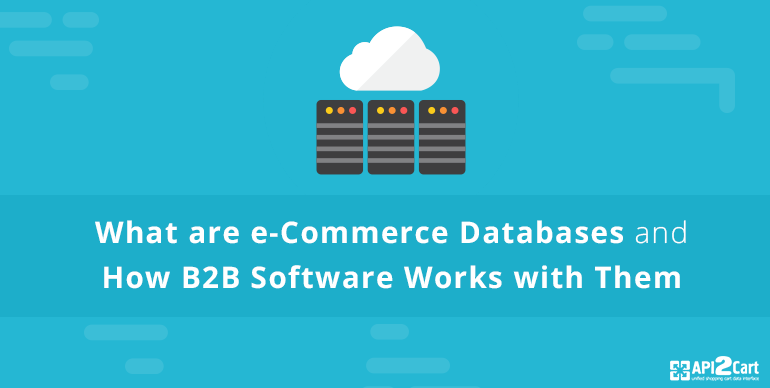 What are eCommerce Databases and How B2B Software Works with Them