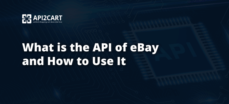 What is the API of eBay and How to Use It?