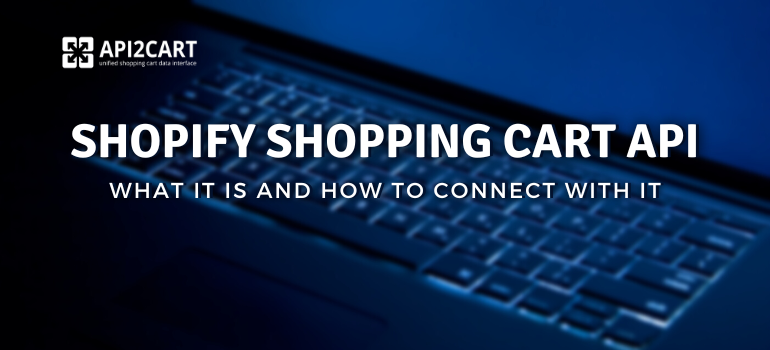 Shopify Shopping Cart API: What It Is and How to Connect With It