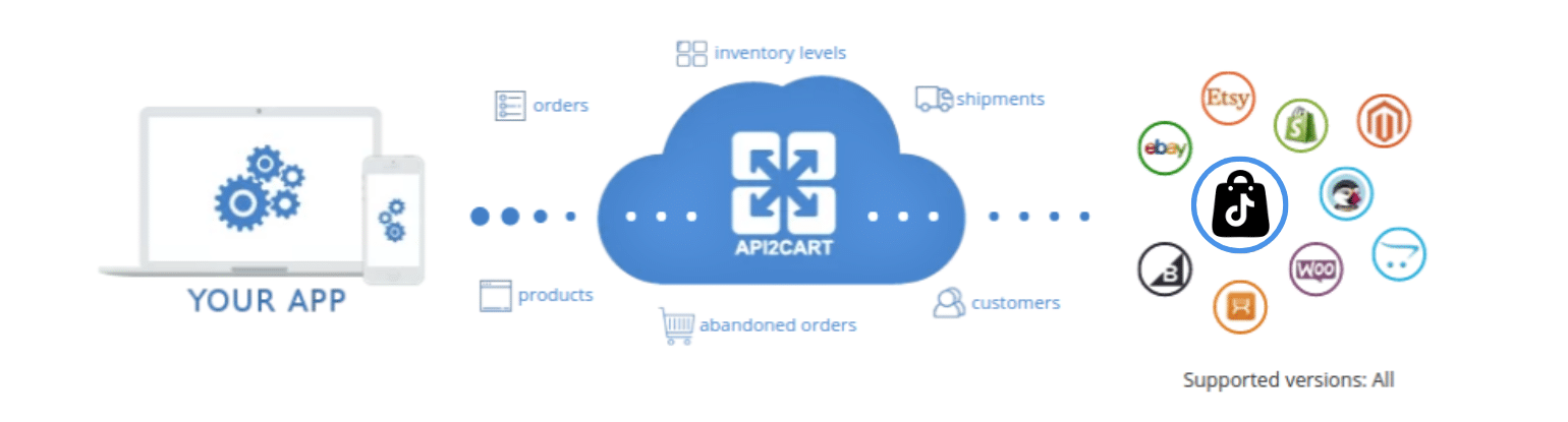 TikTok API Integration via API2Cart
